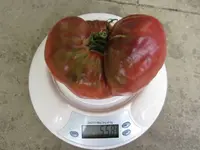 k-Black Krim 10.07..webp