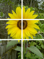 Fensterbild (1).webp