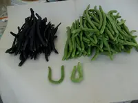 2011 -7-  Garten 177.webp