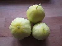 k-Zitronengurke 1.webp