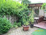 Garten mit Anja 100_0615 (Medium).JPG