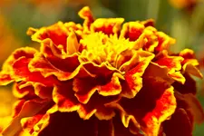 6.8.11 (6 von 37).webp
