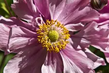 6.8.11 (16 von 37).webp