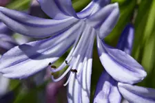 6.8.11 (18 von 37).webp