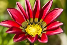 6.8.11 (25 von 37).webp