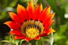 6.8.11 (26 von 37).webp