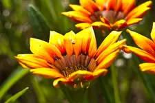 6.8.11 (28 von 37).webp