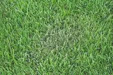 IMG_6838-01_.webp