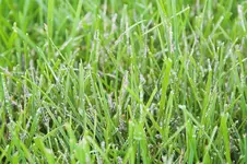 IMG_6839-01_.webp
