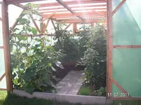 Garten 2011 032.webp