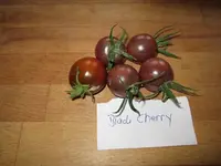 k-IMG_0643.webp