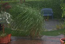 Unwetter vom Allerfeinsten_kleiner.webp