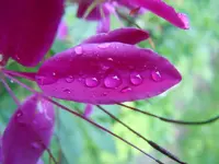 069.webp