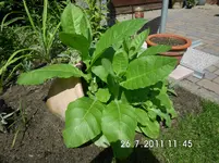 ebay321 518.webp