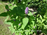 ebay321 520.webp
