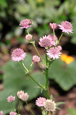07.08 (24).webp