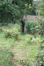 Garten_mitte.webp
