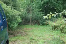 Garten_links Seite.webp