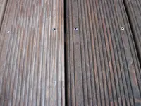 IMG_3674.webp