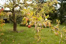 IMG_9932.webp