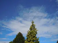 Wolken037.webp