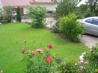 CIMG3892.webp
