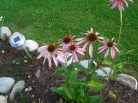 CIMG3919.webp