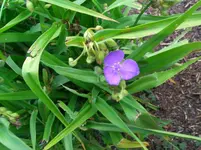 CIMG3921.webp