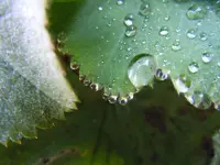 Tropfen013.webp