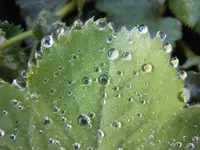 Tropfen014.webp
