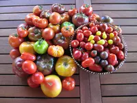 IMG_0562.webp
