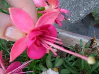 CIMG3927.webp
