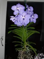 SDC15629_Bildgröße ändern.webp