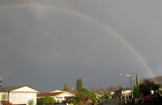 tn_Regenbogen Motueka (12) v.webp