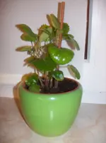 100_3694.webp 100_3694.webp