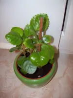 100_3695.webp 100_3695.webp