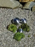DSCF0952.webp