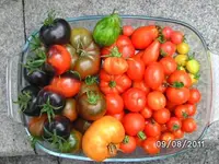 BILD0139.webp