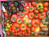 BILD0140.webp