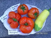BILD0141.webp