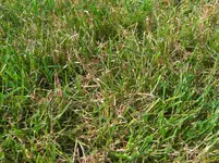 CIMG5888.webp