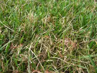 CIMG5889.webp