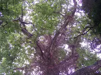 100_2866.webp