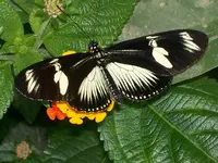 100_2812.webp