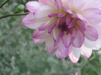 IMG_5766.webp