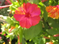 IMG_5760.webp
