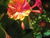 IMG_5761.webp