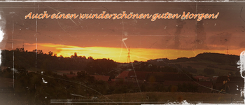 IMG_7913.webp