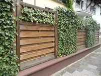 SAM_0433.webp