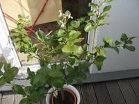 DSCF1057.jpg